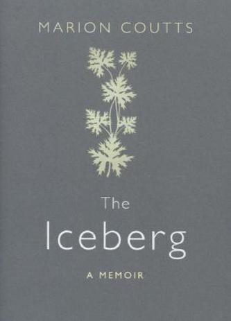 The Iceberg