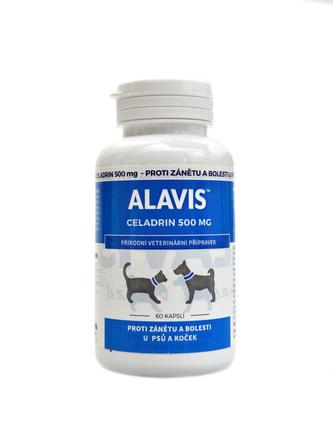 ALAVIS Celadrin 500 mg 60 tablet