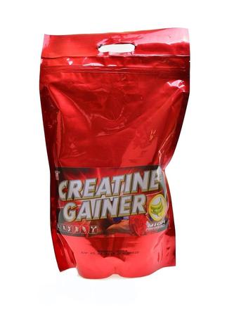 Creatine Gainer 2000 g - vanilka