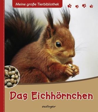 Das Eichhörnchen
