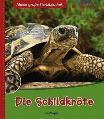 Die Schildkröte