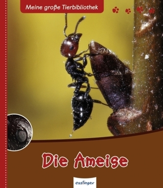Die Ameise