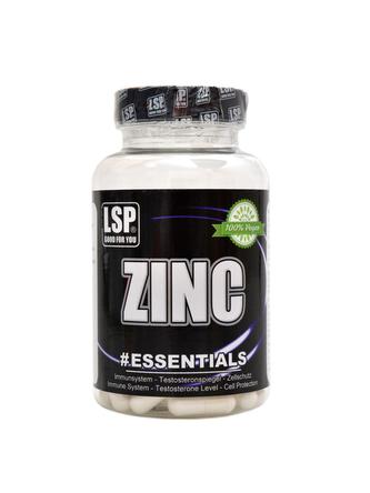 Zinc 100 kapslí zinek