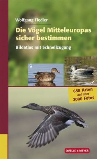 Die Vögel Mitteleuropas sicher bestimmen. Bd.2