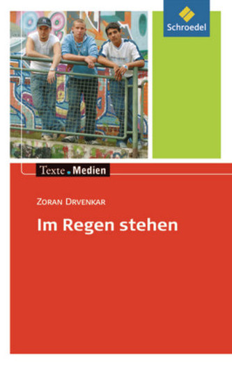 Im Regen stehen, Textausgabe mit Materialien