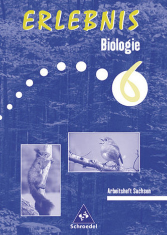 6. Schuljahr, Arbeitsheft