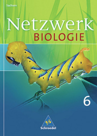 6. Schuljahr, Lehr- und Arbeitsbuch