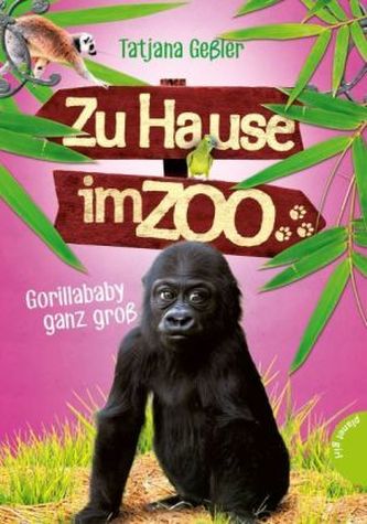 Zu Hause im Zoo - Gorillababy ganz groß Zu Hause im Zoo - Gorillababy ganz groß