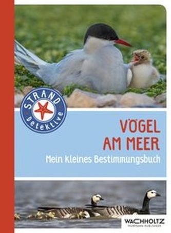 Vögel am Meer