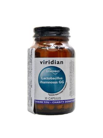 Synerbio Lactobacillus rhamnosus GG 30 k Synerbio Lactobacillus rhamnosus GG 30 k