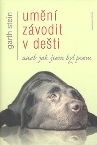 Umění závodit v dešti Umění závodit v dešti