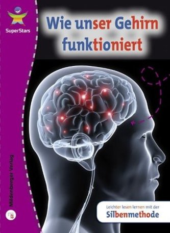 Wie unser Gehirn funktioniert