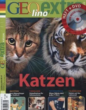 Katzen, m. DVD-ROM