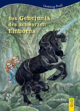 Das Geheimnis des schwarzen Einhorns