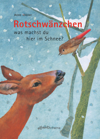 Rotschwänzchen was machst du hier im Schnee?