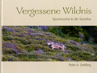 Vergessene Wildnis