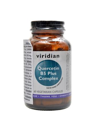 Quercetin B5 Plus Complex 60 kapslí