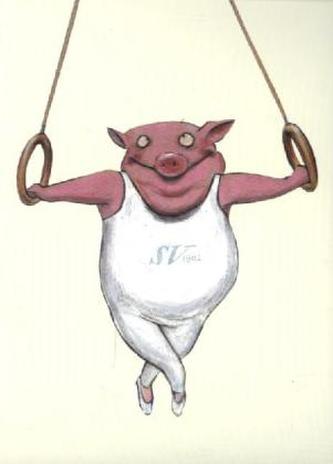 Ringelturner, Postkarten