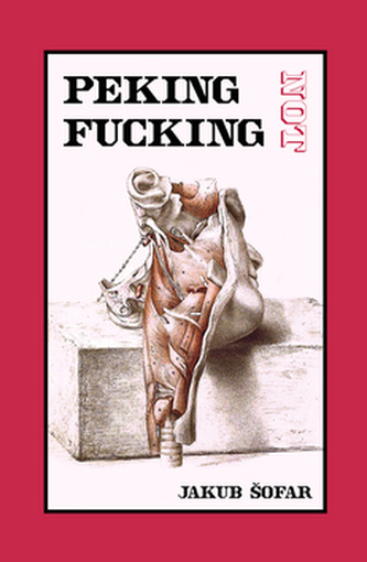 Peking not fucking : koláč infantilních pokusů s elektřinou (Jakub Šofar, 2008)