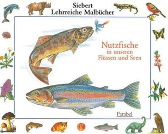 Nutzfische in unseren Flüssen und Seen