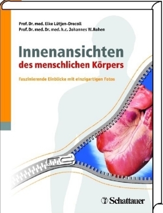 Innenansichten des menschlichen Körpers