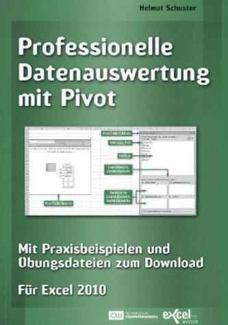 Professionelle Datenauswertung mit Pivot