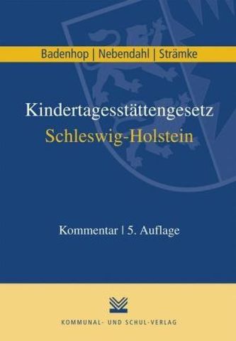 Kindertagesstättengesetz Schleswig-Holstein, Kommentar