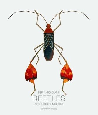 Beetles and Other Insects