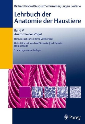 Anatomie der Vögel