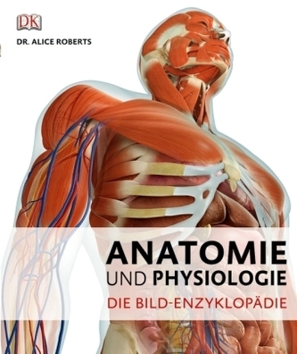 Anatomie und Physiologie Anatomie und Physiologie