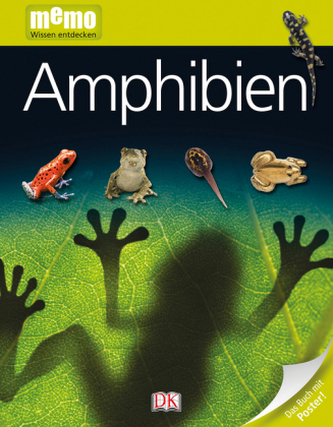 Amphibien