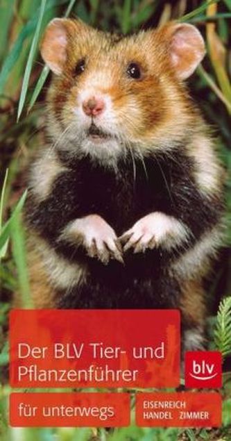 Der BLV Tier- und Pflanzenführer für unterwegs
