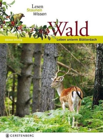Wald Wald