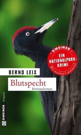 Blutspecht Blutspecht