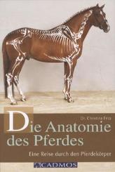 Die Anatomie des Pferdes