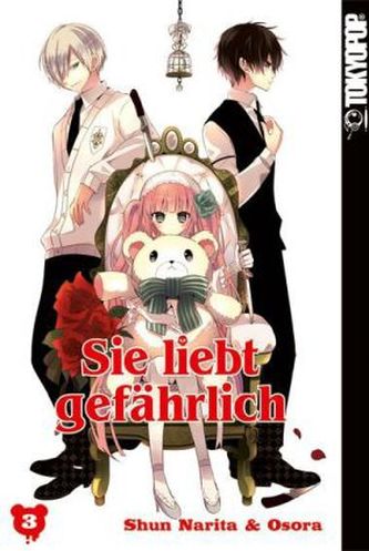 Sie liebt gefährlich. Bd.3