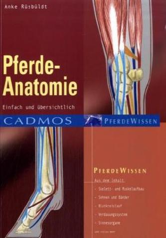 Pferde-Anatomie