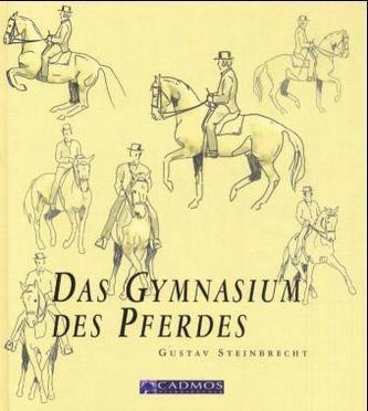 Das Gymnasium des Pferdes