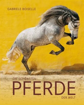 Die schönsten Pferde der Welt