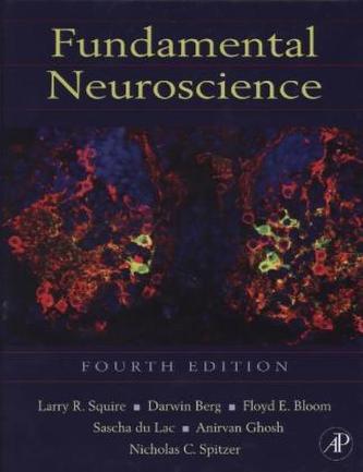 Fundamental Neuroscience