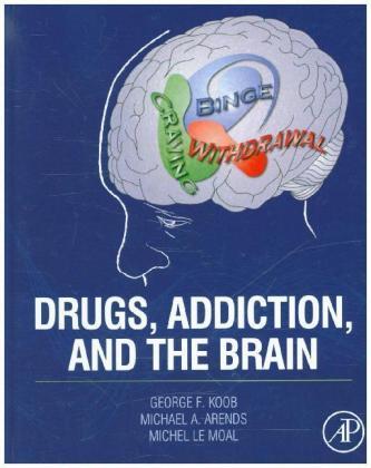 Drugs, Addiction, and the Brain