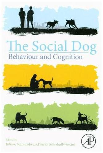 The Social Dog