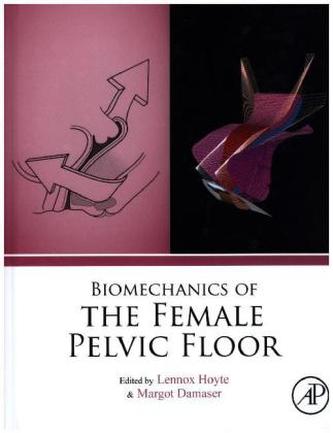 Biomechanics of the Female Pelvic Floor