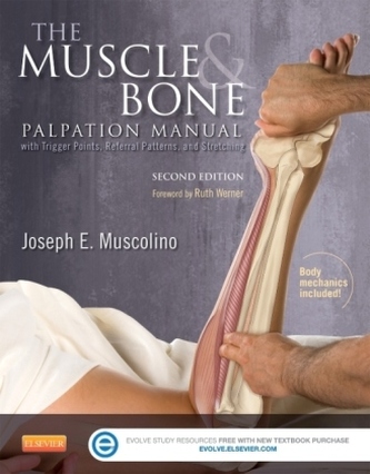 The Muscle and Bone Palpation Manual with Trigger Points, Referral Patterns and Stretching,  w. DVD-ROM
