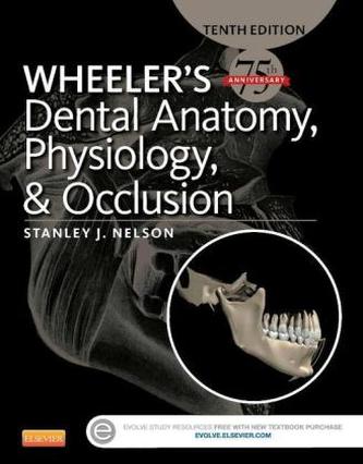 Wheeler's Dental Anatomy, Physiology and Occlusion