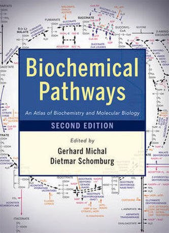 Biochemical Pathways