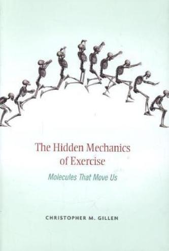 The Hidden Mechanics of Exercise