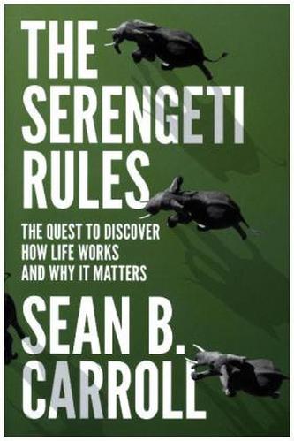 Serengeti Rules