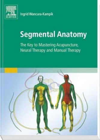 Segmental Anatomy