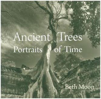 Ancient Trees: Portraits of Time
